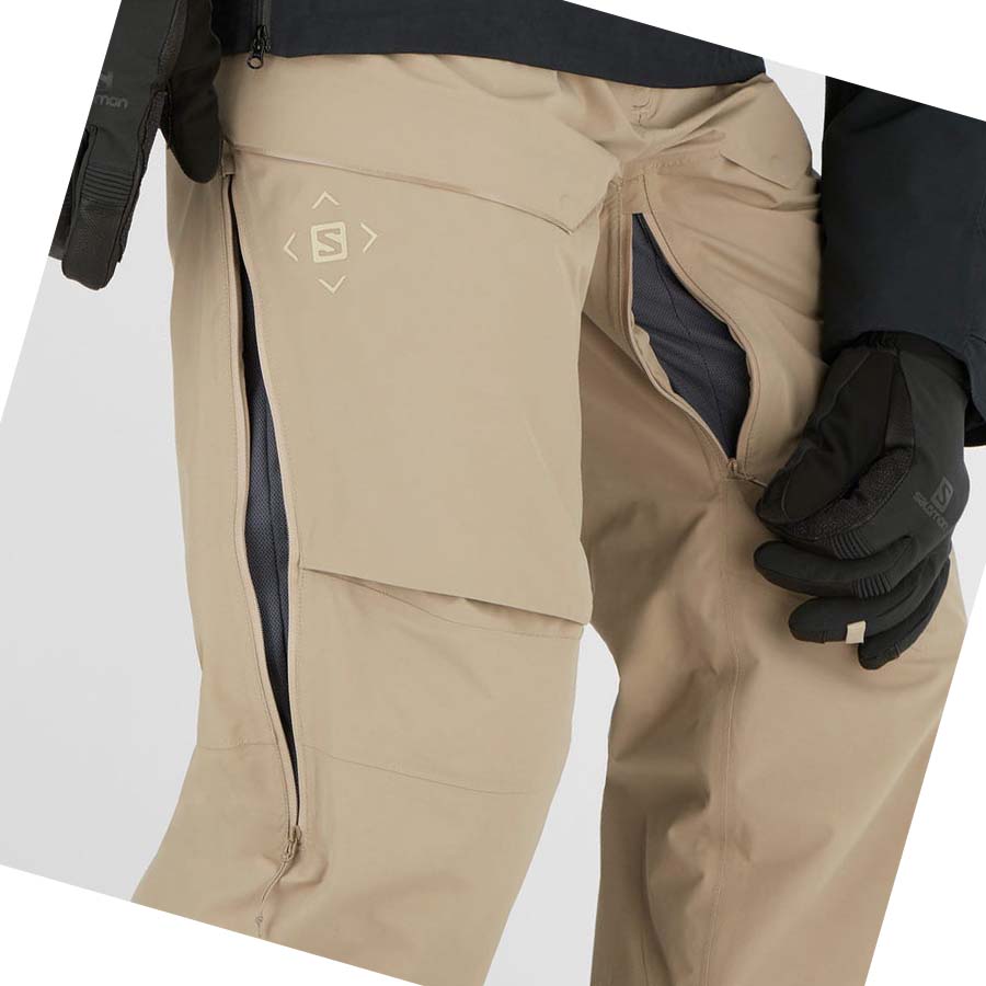 Pantalones De Esquí Salomon GRAVITY GORE-TEX Hombre Marrom | MX 3124EBC